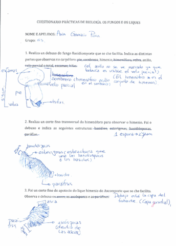 Practicas-Botanica-Hongos-y-Liquenes.pdf