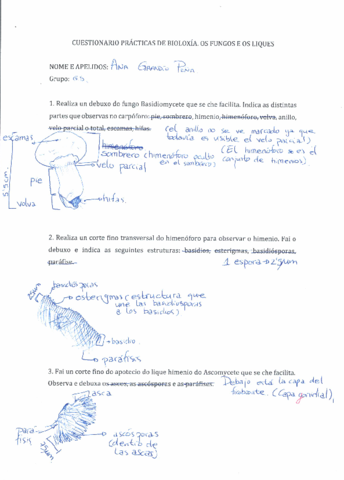 Practicas-Botanica-Hongos-y-Liquenes.pdf