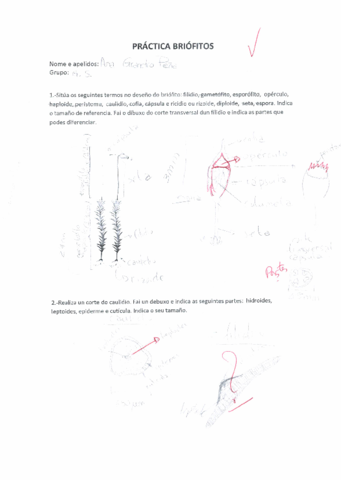 Practicas-Botanica-Briofitos.pdf