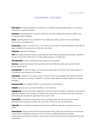 Diccionario-CITO.pdf