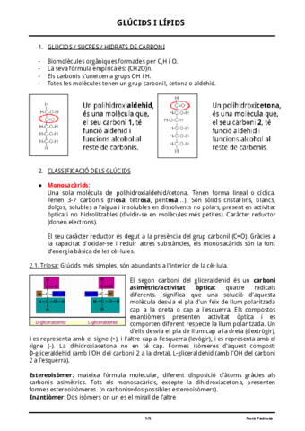 GLUCIDS-I-LIPIDS.pdf