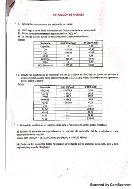 ej extracción de metales.pdf