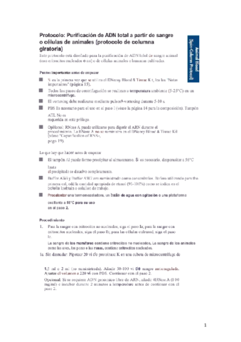 Protocolo-espanol-ABDL.pdf