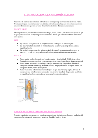 ANATOMIA-OSTEOLOGIA-.pdf