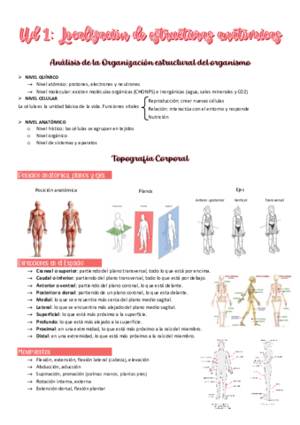 unidad-1-y-2-FG.pdf