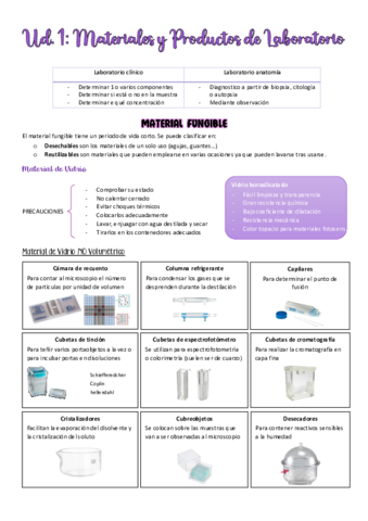 TGL-tema-1-y-3.pdf