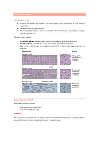 fisiologia-babio-word-1o-semestre.pdf