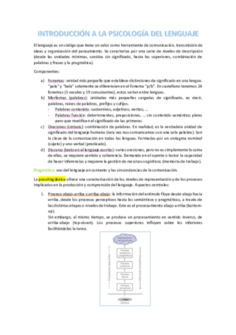 apuntes-t6-lenguaje.pdf