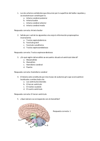 Examenes-anatomia-SN-Respiratorio-y-Cardiovascular.pdf