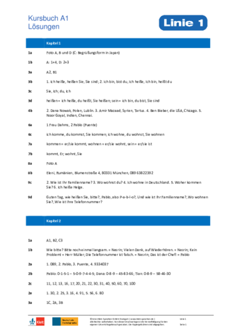 Soluciones-Linie-1.pdf