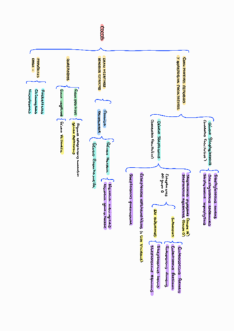 Microorganismos-220114155938.pdf