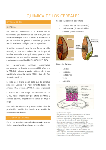 t2-quimica-de-los-cereales.pdf