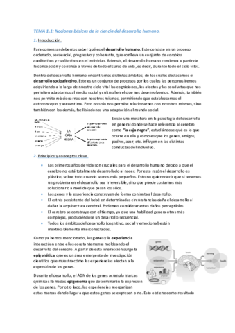 TEMA-1-COMPLETO.pdf
