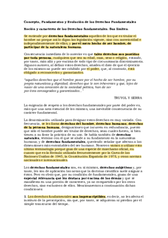 APUNTES-Derechos-Fundamentales.pdf