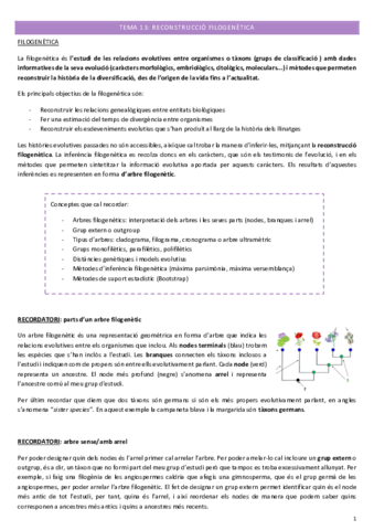 Evolucion-temas-13-19.pdf