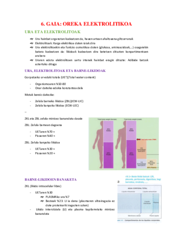 6.pdf