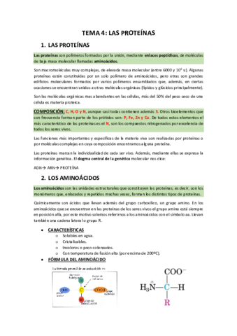 TEMA-4-LAS-PROTEINAS.pdf