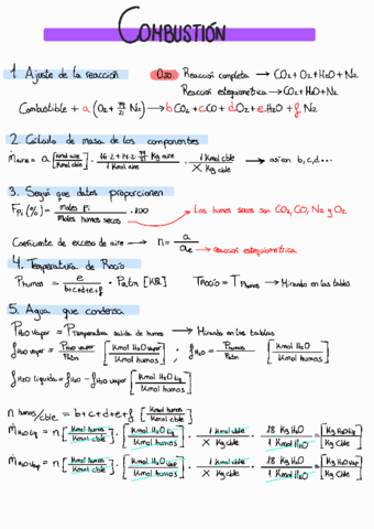 Combustion-guion-de-ejercicios.pdf