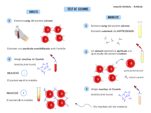Test-de-Coombs-esquema.pdf