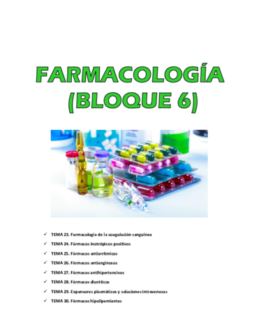 Farma-bloque-6.pdf