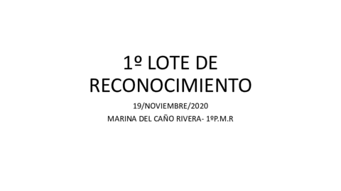 1o-LOTE-DE-RECONOCIMIENTO.pdf