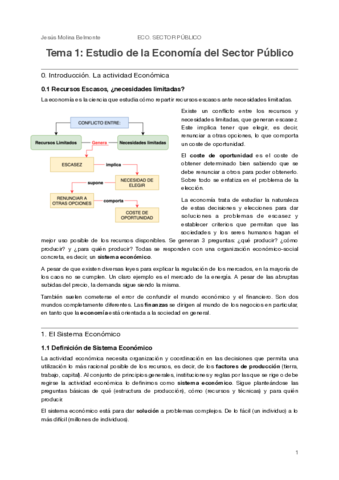 T1-Estudio-de-la-Economia-del-Sector-Publico.pdf