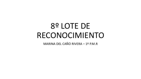 8o-LOTE-DE-RECONOCIMIENTO.pdf