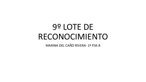 9o-LOTE-DE-RECONOCIMIENTO.pdf