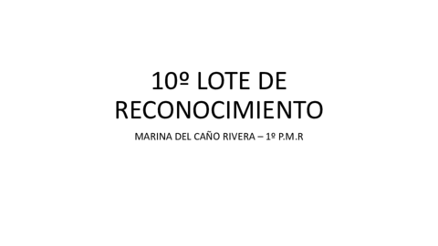 10o-LOTE-DE-RECONOCIMIENTO.pdf