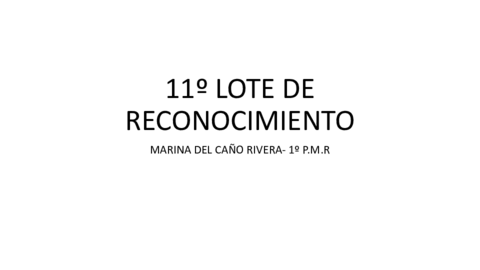 11o-LOTE-DE-RECONOCIMIENTO.pdf