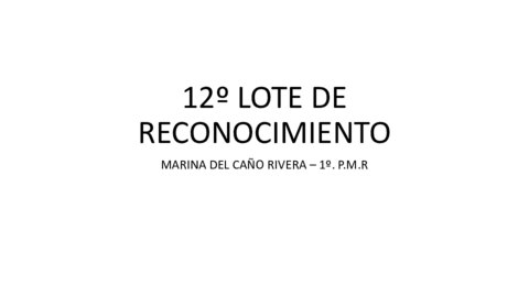 12o-LOTE-DE-RECONOCIMIENTO.pdf