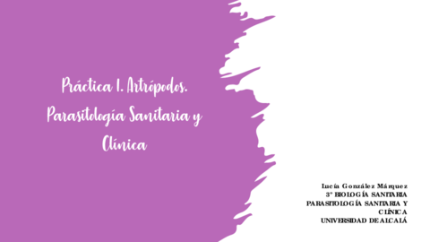 Practica-I-Artropodos.pdf