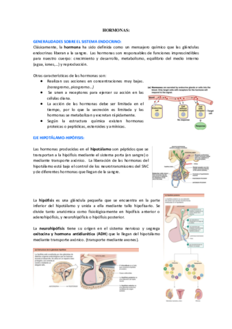 HORMONAS.pdf