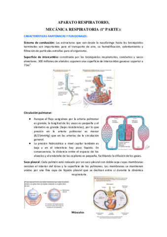 RESPIRATORIO.pdf