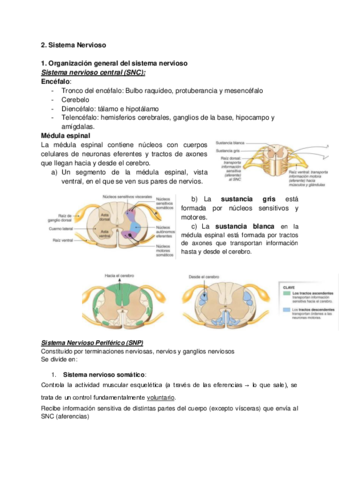 2.pdf