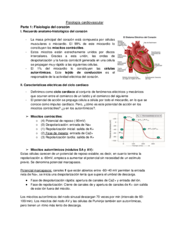 Fisiologia-cardiovascular.pdf