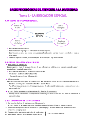 Bases-de-atencion-a-la-diversidad.pdf