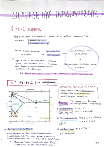 MZMetalenFaseTransformazioak10.pdf