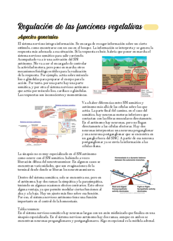 08-Regulacion-de-las-funciones-vegetativas.pdf
