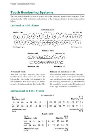 tooth-numbering.pdf