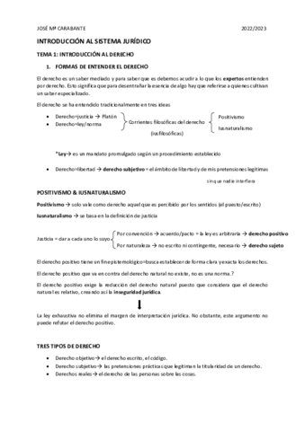 INTRO-SIST-JURIDICO.pdf