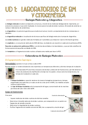 tema-1-BMC.pdf