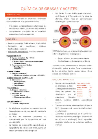 t3-quimica-de-grasas-y-aceites.pdf
