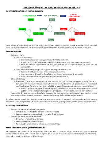 TEMA-8-RESUMEN-ESTRUCTURA-ECONOMICA.pdf