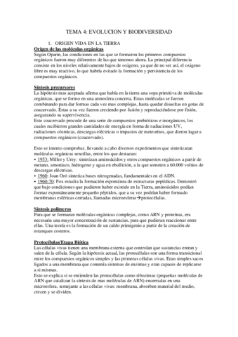 TEMA-4.pdf