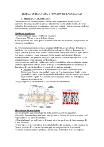 TEMA-2.pdf