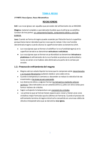 TEMA-4.pdf