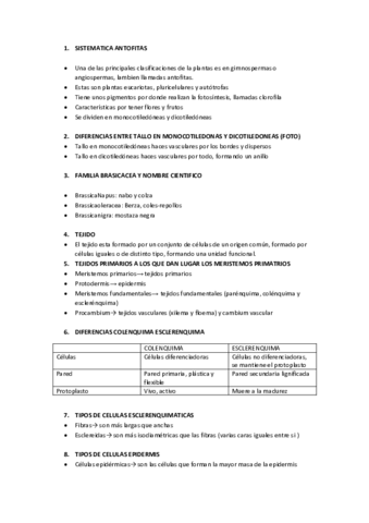 Preguntas-examen.pdf