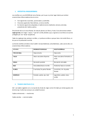 Examen.pdf