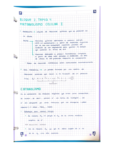 BLOQUE-2-TEMA-4-METABOLISMO-CELULAR-I.pdf